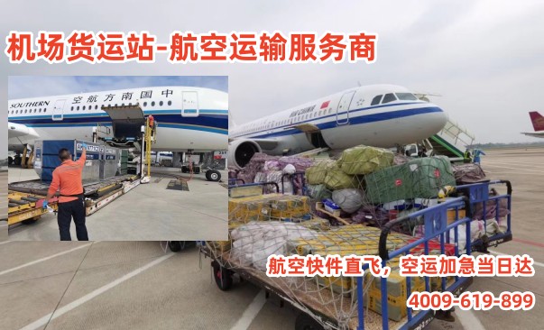 微信图片_202304041552538_副本.jpg 微信图片_202304041552538_副本.jpg